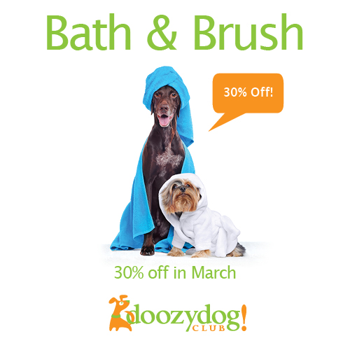 30% Off Bath & Brush in March